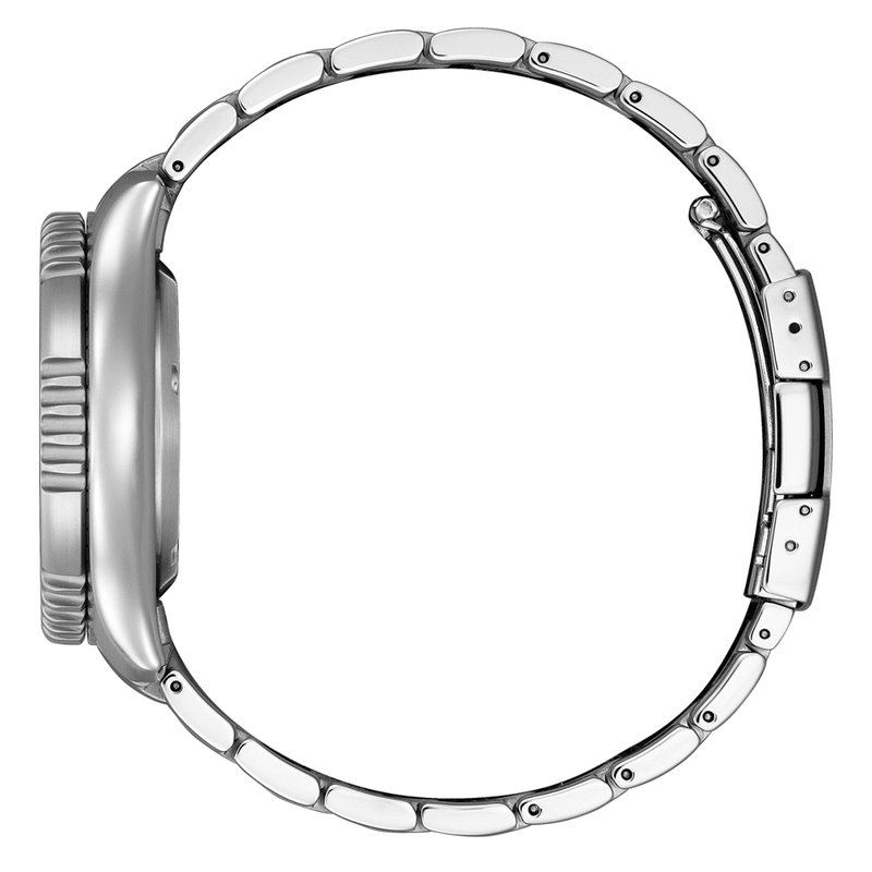 Citizen Promaster Fugu Marine Limited Edition NY0161-63L