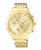 Citizen Gold Watch FA0022-59P