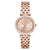 Michael Kors Petite Darci Ladies Rose Gold Watch MK3366